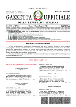 PAE_3-95 Decreto